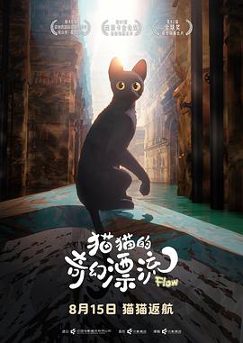 猫猫的奇幻漂流